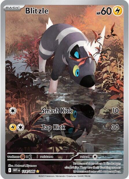 Pokemon TCG - Blitzle WHT EN 114/086