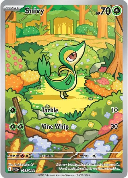 Pokemon TCG - Snivy BLK EN 087/086