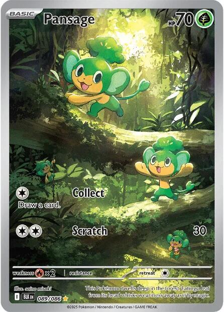 Pokemon TCG - Pansage BLK EN 089/086