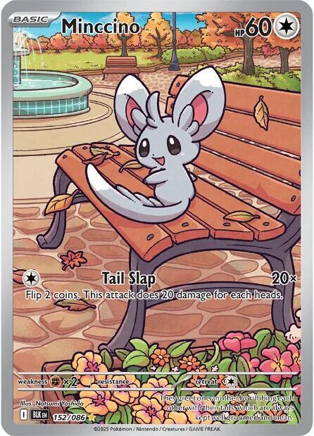 Pokemon TCG - Minccino BLK EN 152/086